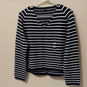 Uniqlo Striped V-Neck Sweater in Navy and White